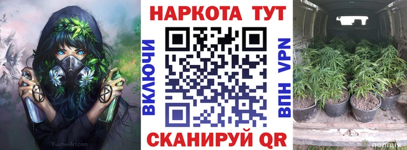 Наркошоп купить Псилоцибиновые грибы  Cocaine  Альфа ПВП  Меф мяу мяу  Гашиш  Динская