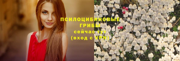 прущие крисы Куйбышев
