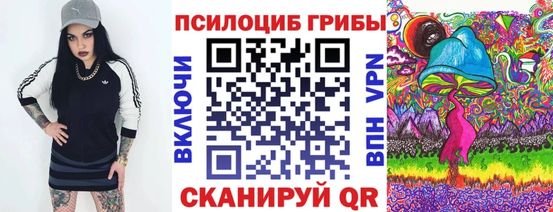 Галлюциногенные грибы Cubensis  Купить где  Динская 